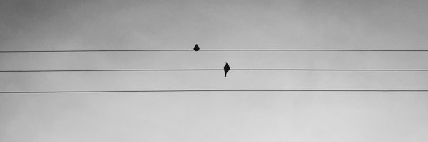 AbsurdoBruto Profile Banner