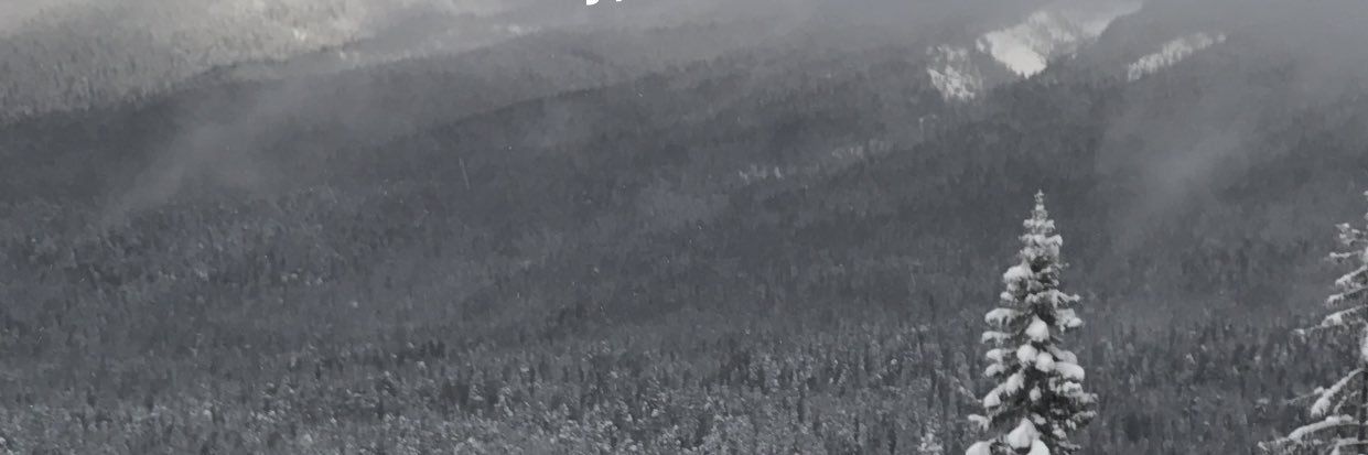 brodiekemp's profile banner image