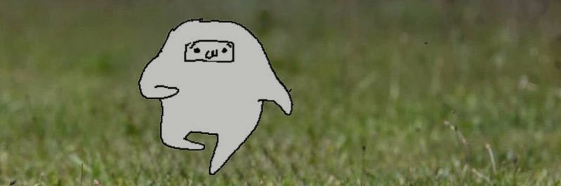 bikutiso's profile banner image