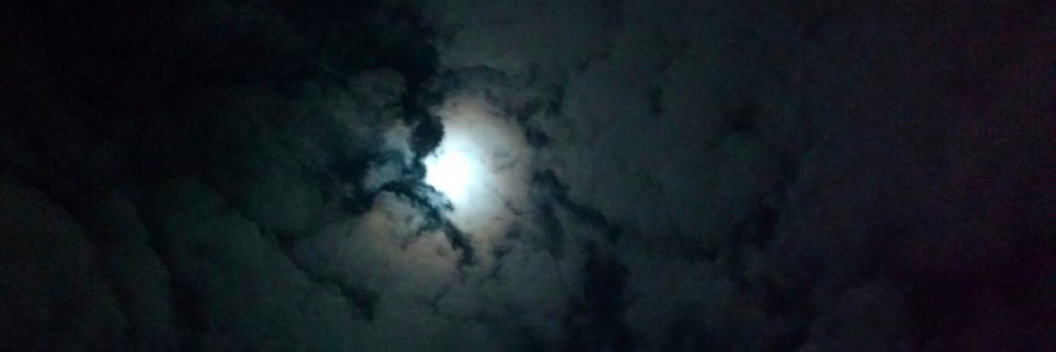 Yesterlenium's profile banner image