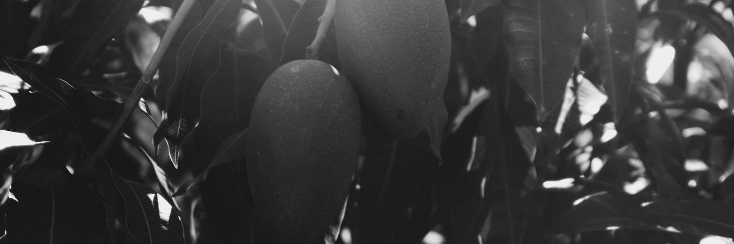 xwhy banner