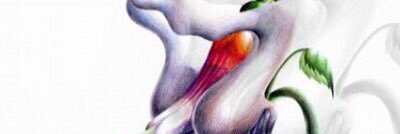 layne1420's profile banner image