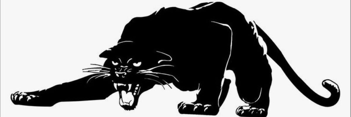 Emily Packham banner