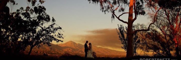 Screach24's profile banner image