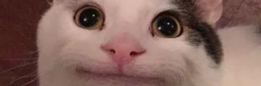 snoopyboxdd's profile banner image