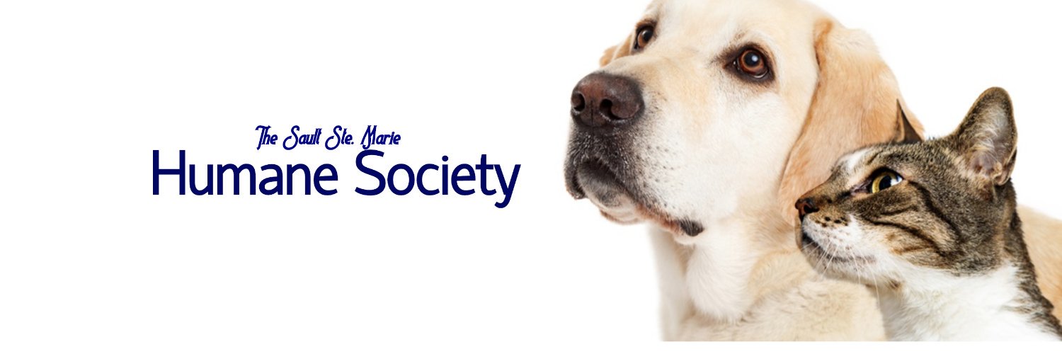 ssmhs's profile banner image