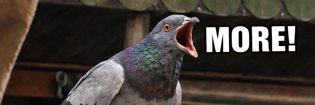 thecryptopher's profile banner image