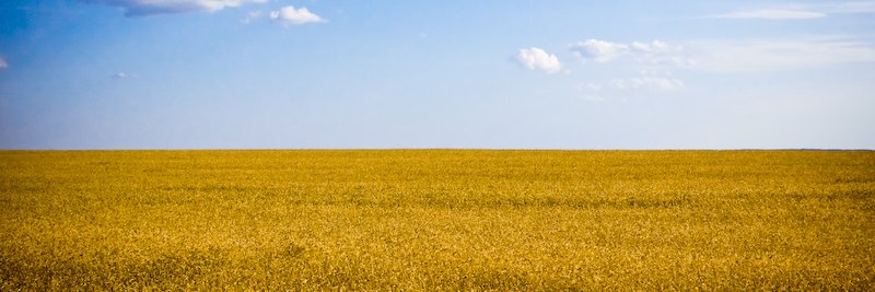 David((Brent)) Rogers banner