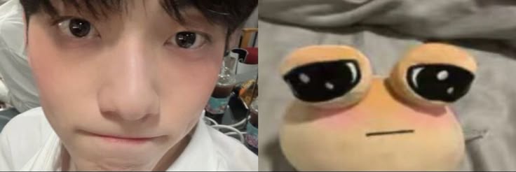 ᡣ𐭩𝐝𝐢𝐚𝐨₍ᐢ. ̫.ᐢ₎ banner