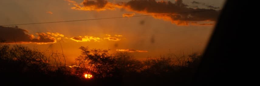 swaagmagg's profile banner image