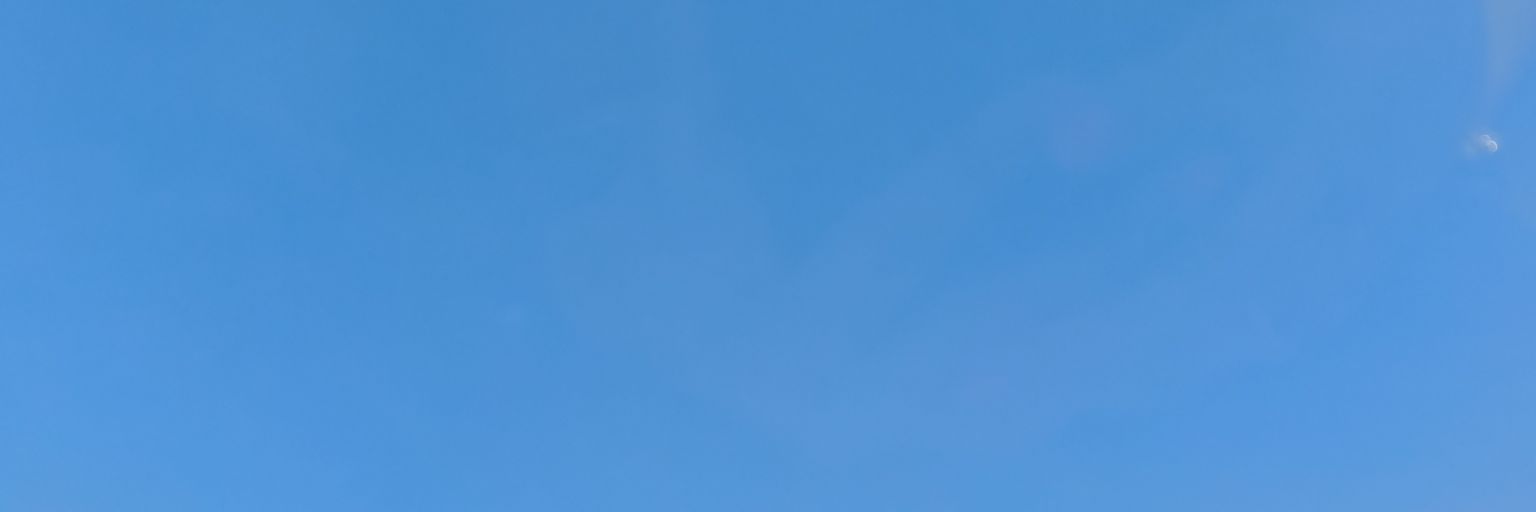 Julia banner