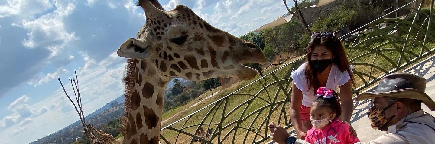 D_Juarez23's profile banner image