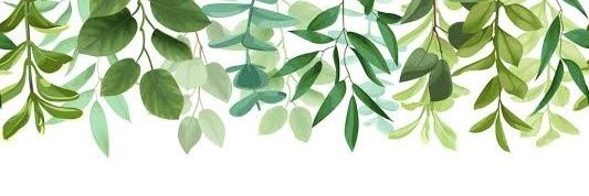 Maski banner