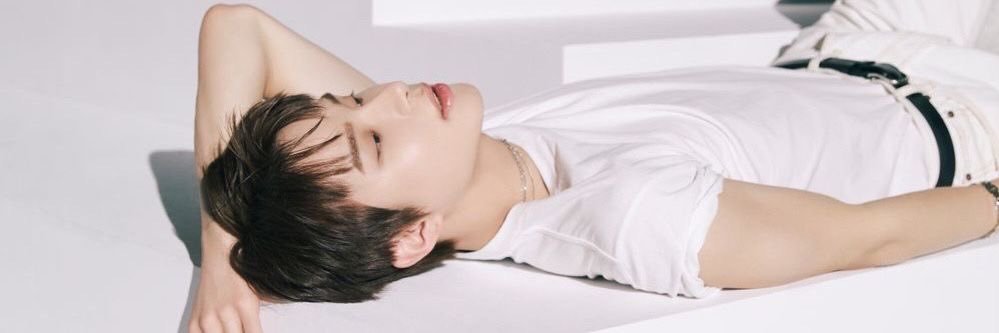 🐶🩶 banner