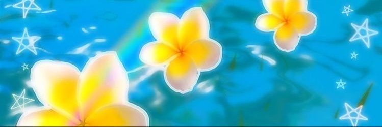 Zara Larsson Info banner