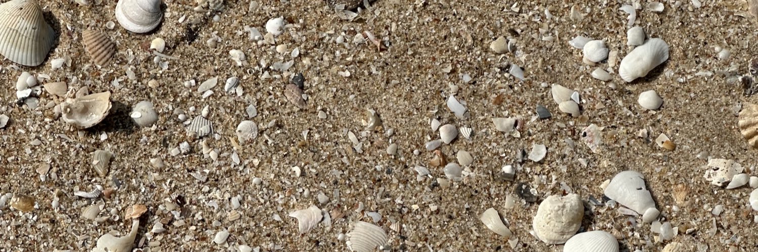 hg • 🧚🏻‍♀️ banner