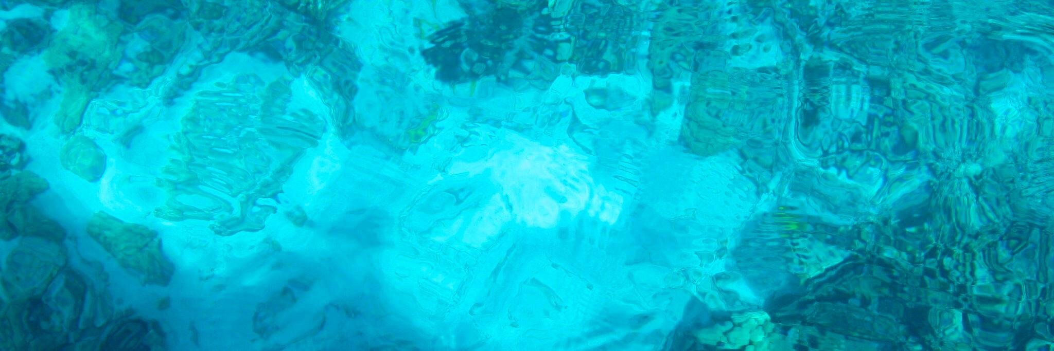 Rachel Wright banner