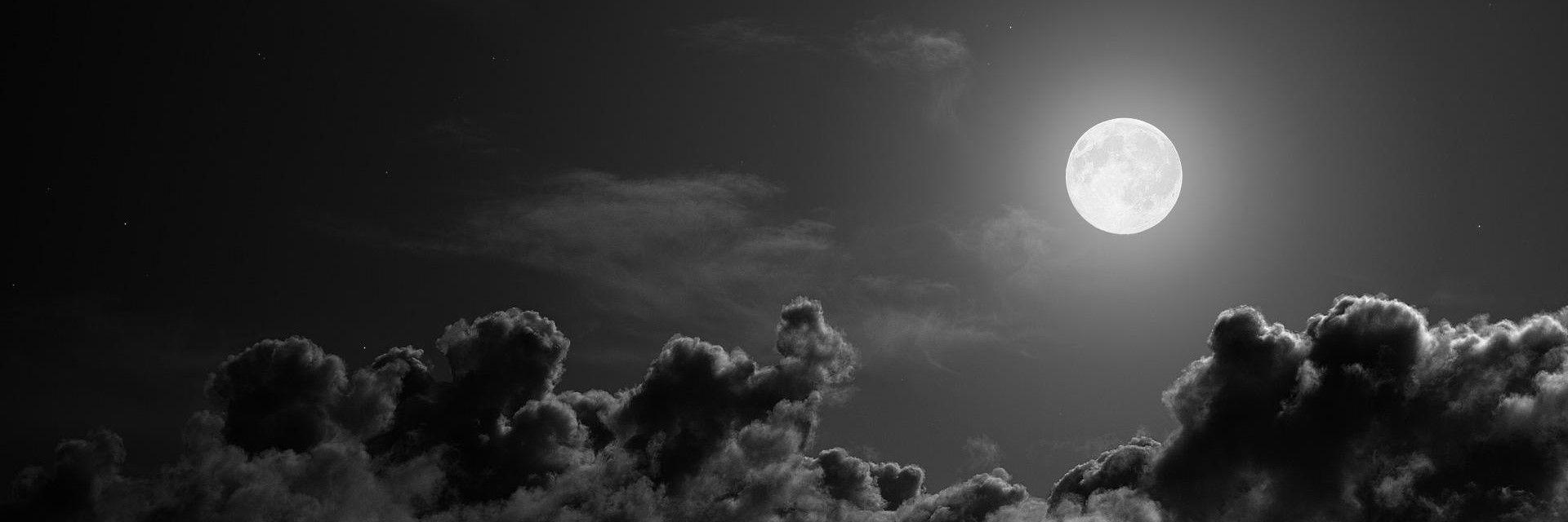 __DearS__'s profile banner image