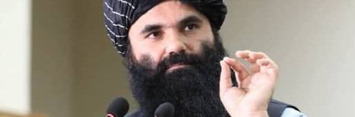 حاجي اسد banner