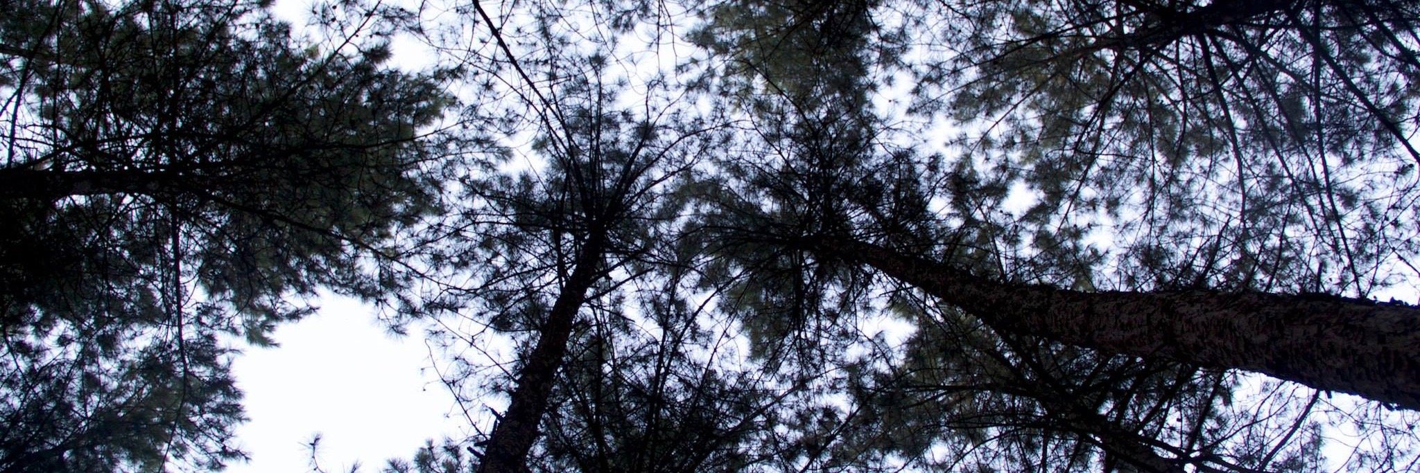 lukevink's profile banner image