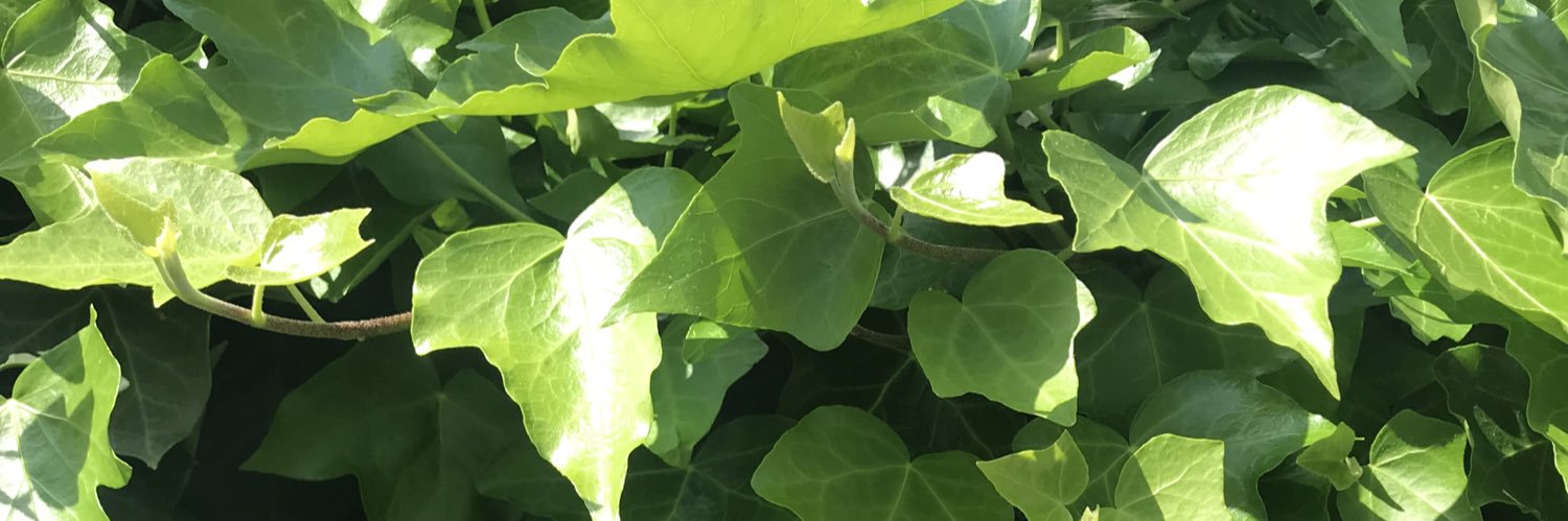 kimi_xxx's profile banner image