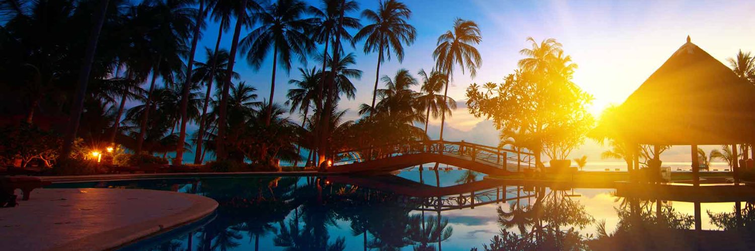 bruce antion 🟧🟦 banner