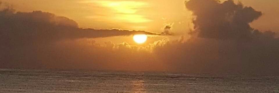 sheilamaingi's profile banner image