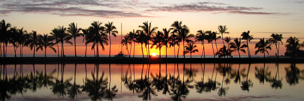 Patrick Canos banner