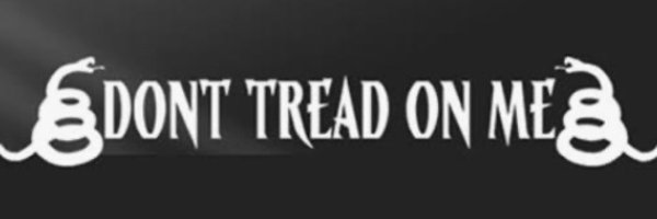 SRebel72336 Profile Banner