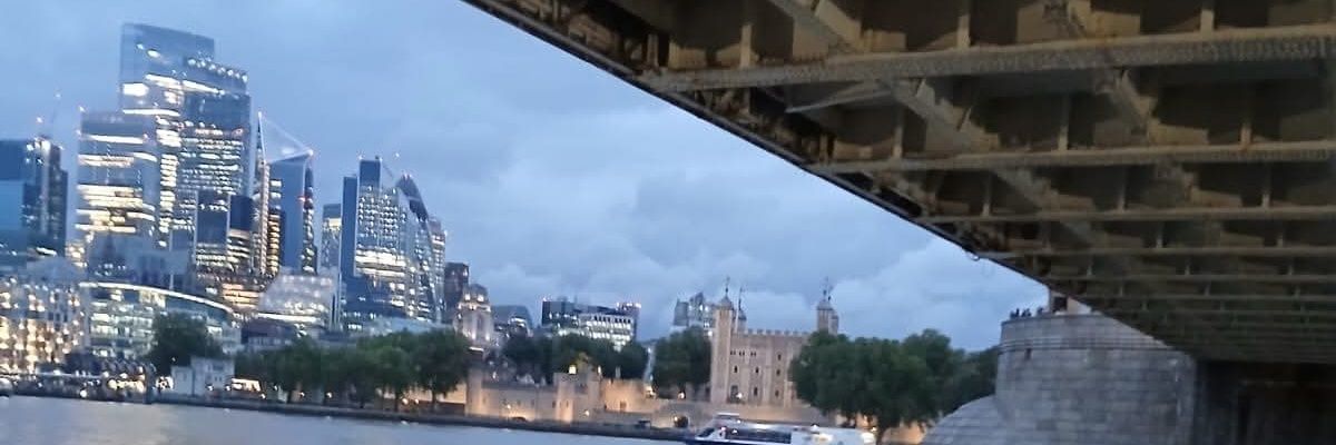 Roberta Adelaide Modugno banner