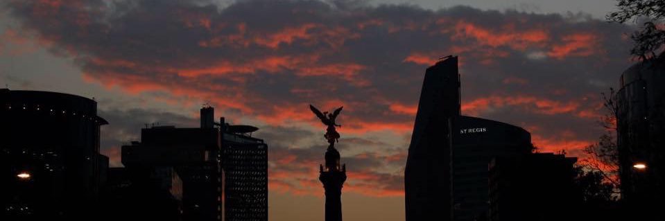 Neuroanato 2.0 banner