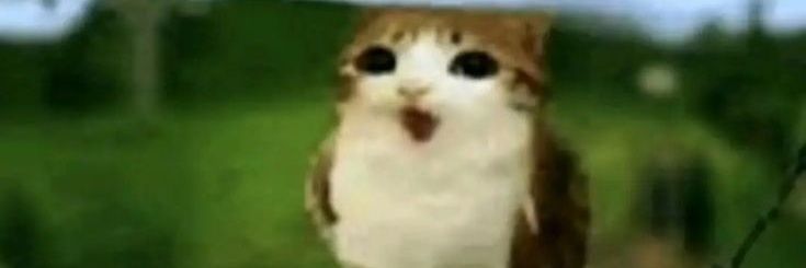 H4CK 🔞 comms OPEN banner