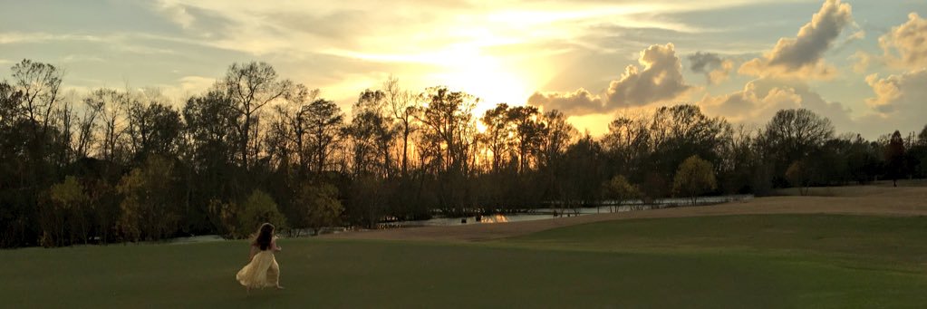 Melissa H Mann banner