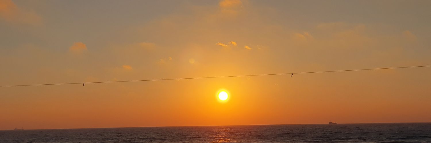 sivan_halimi's profile banner image
