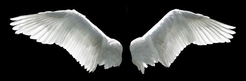 نـجـم banner