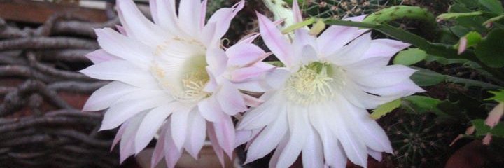 mat5531s's profile banner image