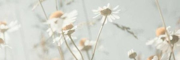 cheriemints Profile Banner