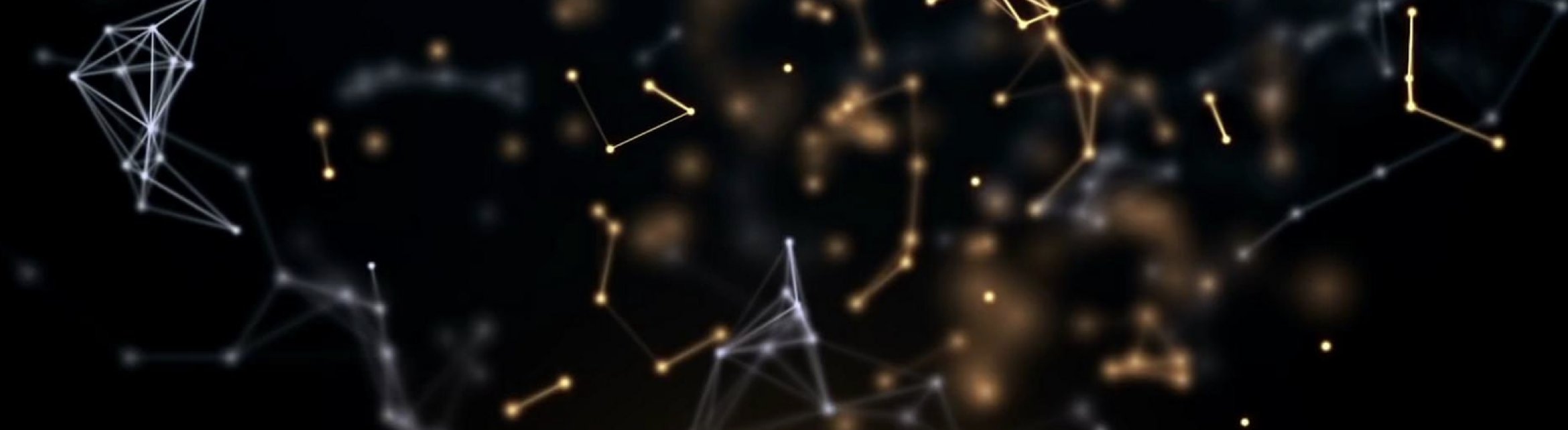 Paul_SF_human's profile banner image