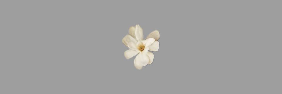 celilygrace's profile banner image