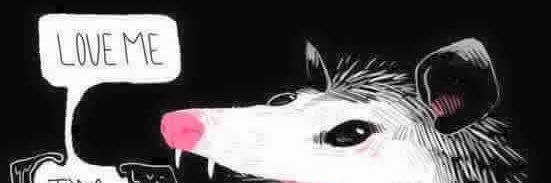 Kristy Leandra banner