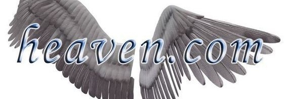 ︎ ︎ sage.‎ ︎ ︎ banner