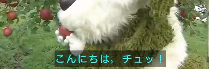ゆにさん banner
