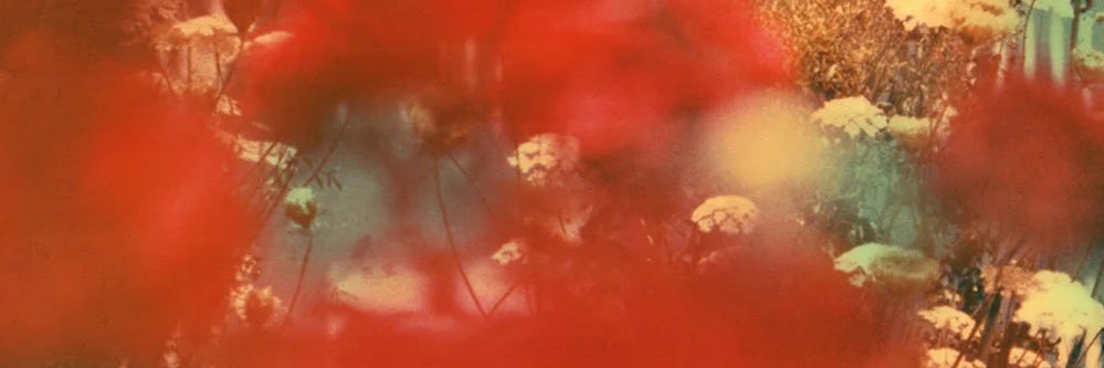 Archive LDR banner
