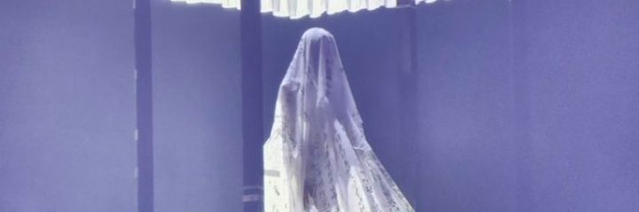 jennie. stats banner