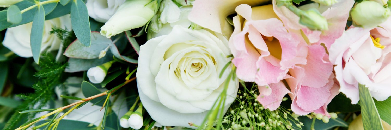 le_aldridge's profile banner image