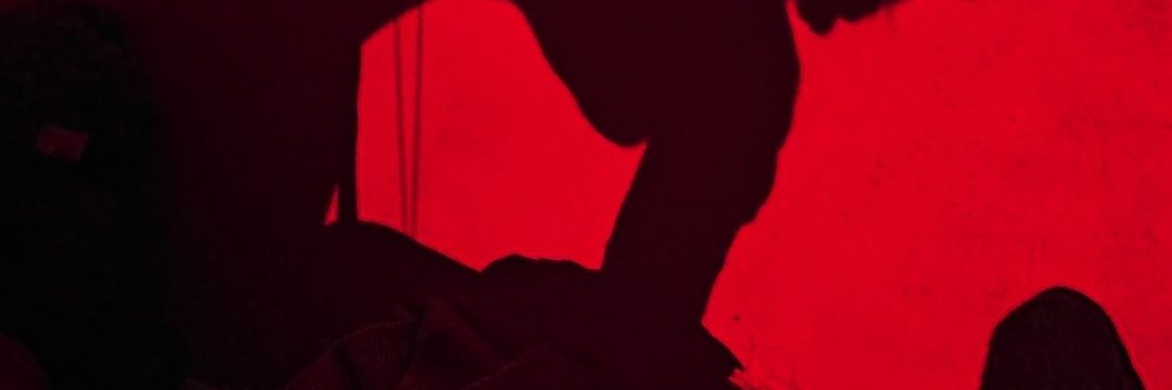 danic banner