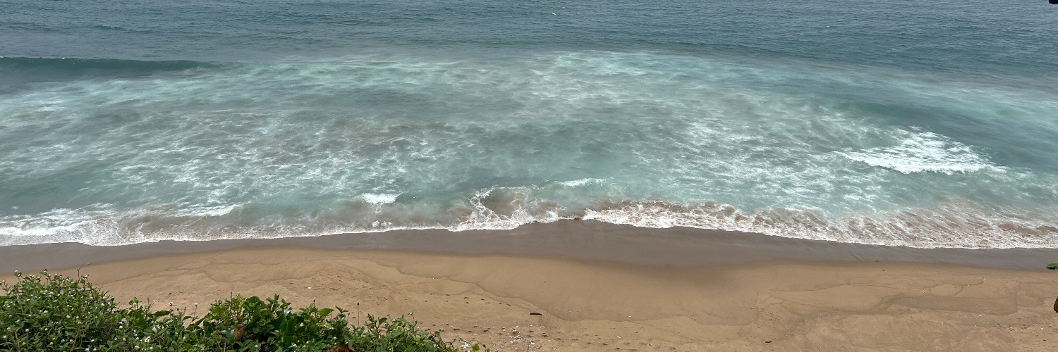 Chilipi Tiger banner