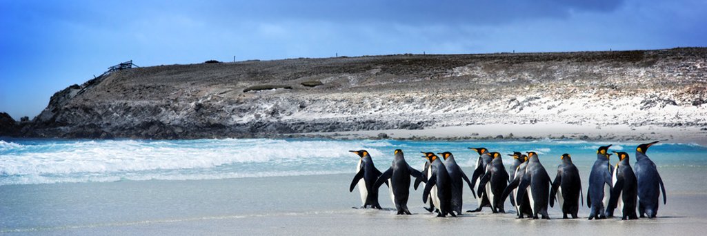 BorderFalklands's profile banner image
