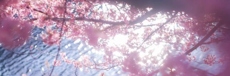 jeje banner