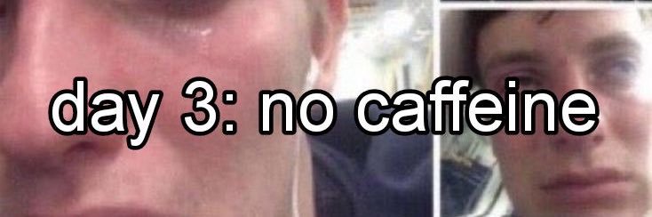 🐻 banner